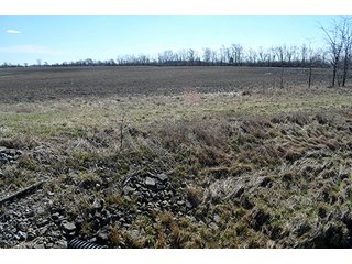 Property photo 57 - LAND AUCTION - 215+/- ACRES OFFERED IN 6 TRACTS IN VAN WERT COUNTY, OHIO